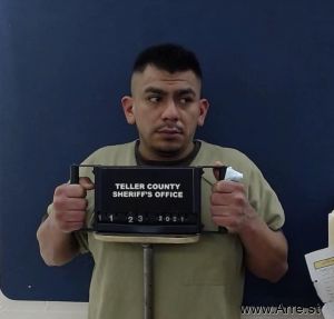 Christian Gomez Fregoso Arrest Mugshot